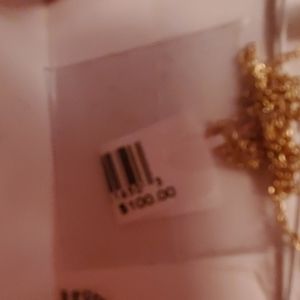 Ladybug earring and necklace